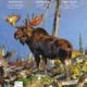 National-museum-of-Wildlife-Art_Call-of-the-Wild_2019CoverDetail