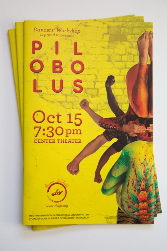 Pilobolus Program