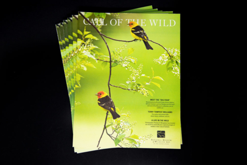 National Museum of Wildlife Art Call of the Wild magazine cover. Photography by Tom Mangelsen.