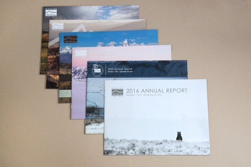 Annual Report Designs
