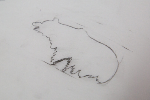Bear Logo Sketch